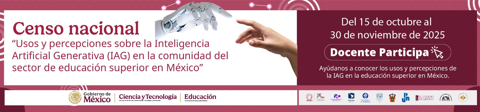Censo Nacional IA docente